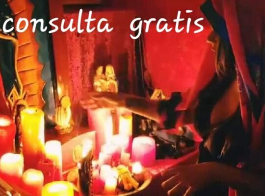 consulta gratis
