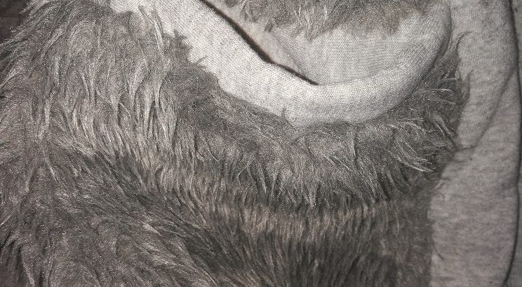 Cazadora de pelo 15 €
