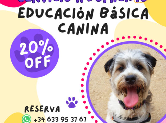 Educación Básica Canina
