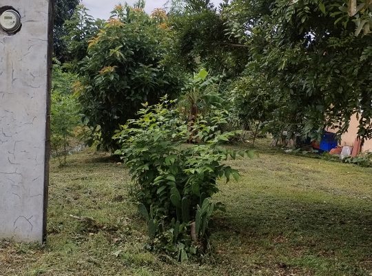 Venta de Hermosa Casa en Ciruelito de Rio Grande en Penonomé, Cocle 64388400