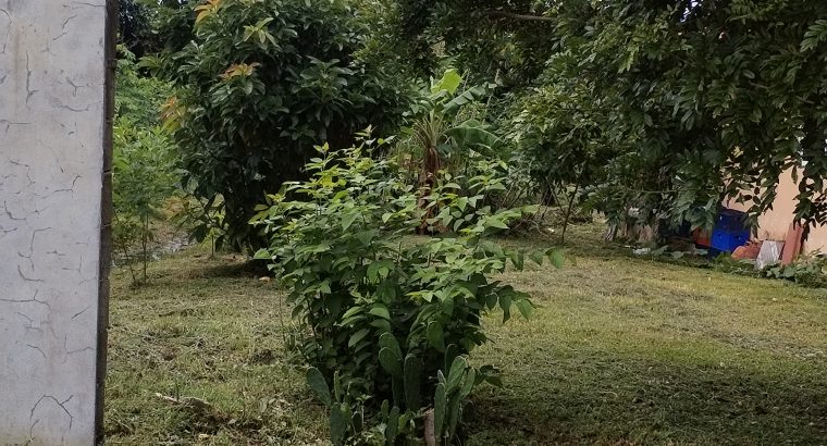 Venta de Hermosa Casa en Ciruelito de Rio Grande en Penonomé, Cocle 64388400