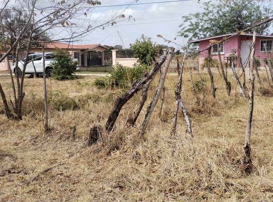 Venta de Finca en Ciruelito de Rio Grande